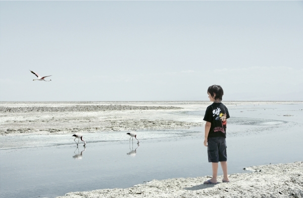Photograph Ezra Gozo Mansur Boy And Birds on One Eyeland